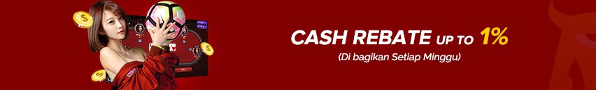 promo cash rebate